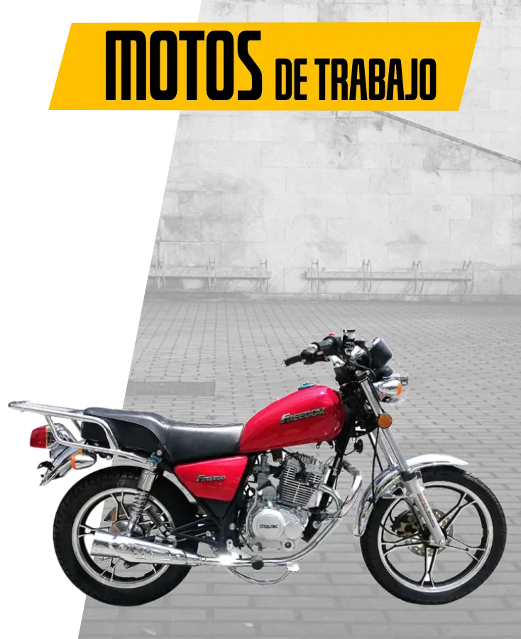 trabajo-motosfreedom-sv